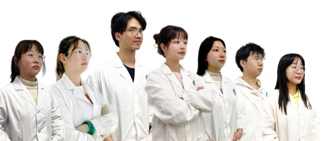 ef771a83ca5c41ed8f5bbf3106865a16.png 2.png