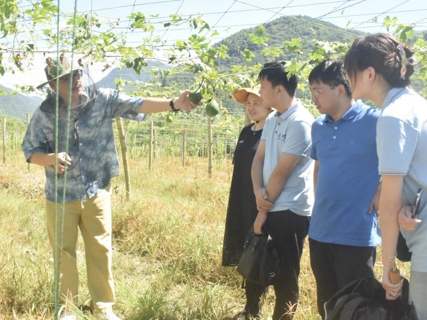 e3705edc86b542c6adfa33afa5453de7.jpg 2.jpg