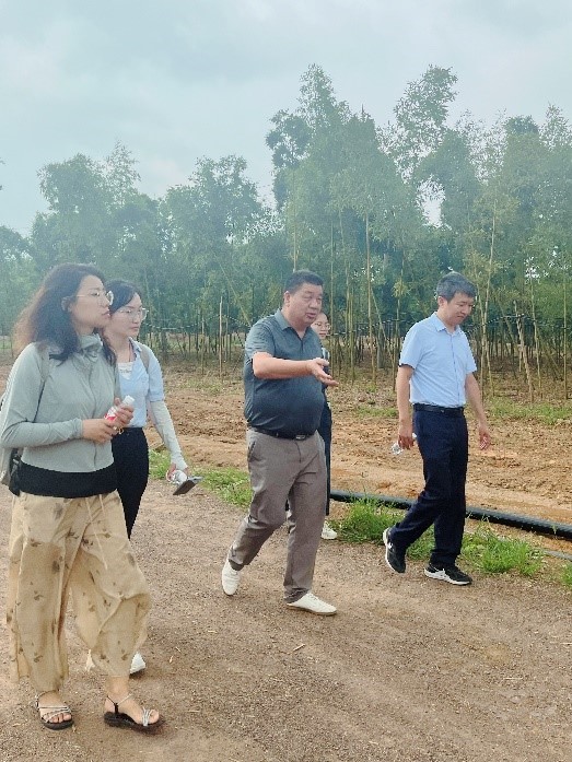 aef99e7f74c04ca4a0d9672b575743c0.jpg 1.jpg