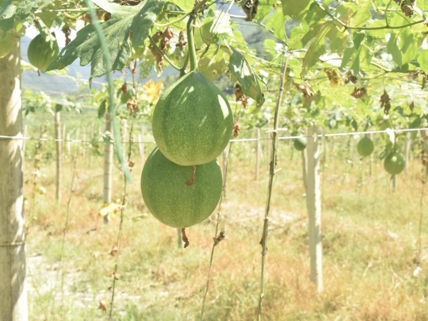 83a5fb4473ea4e658b9c4ad53f6f1ecf.jpg 1.jpg