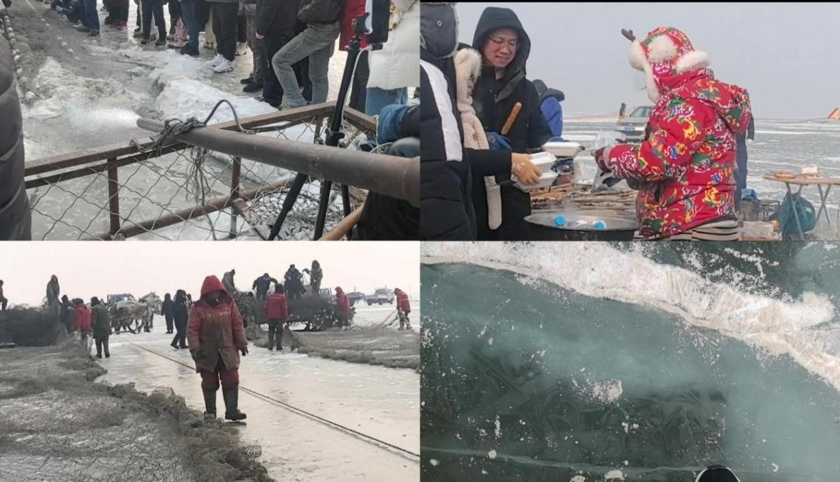 badce6958d5a4026a3c48ce3a431a64b.jpg 1.jpg