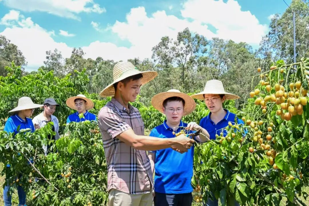 17803390f7294082861f162eda01861c.png 图片3.png